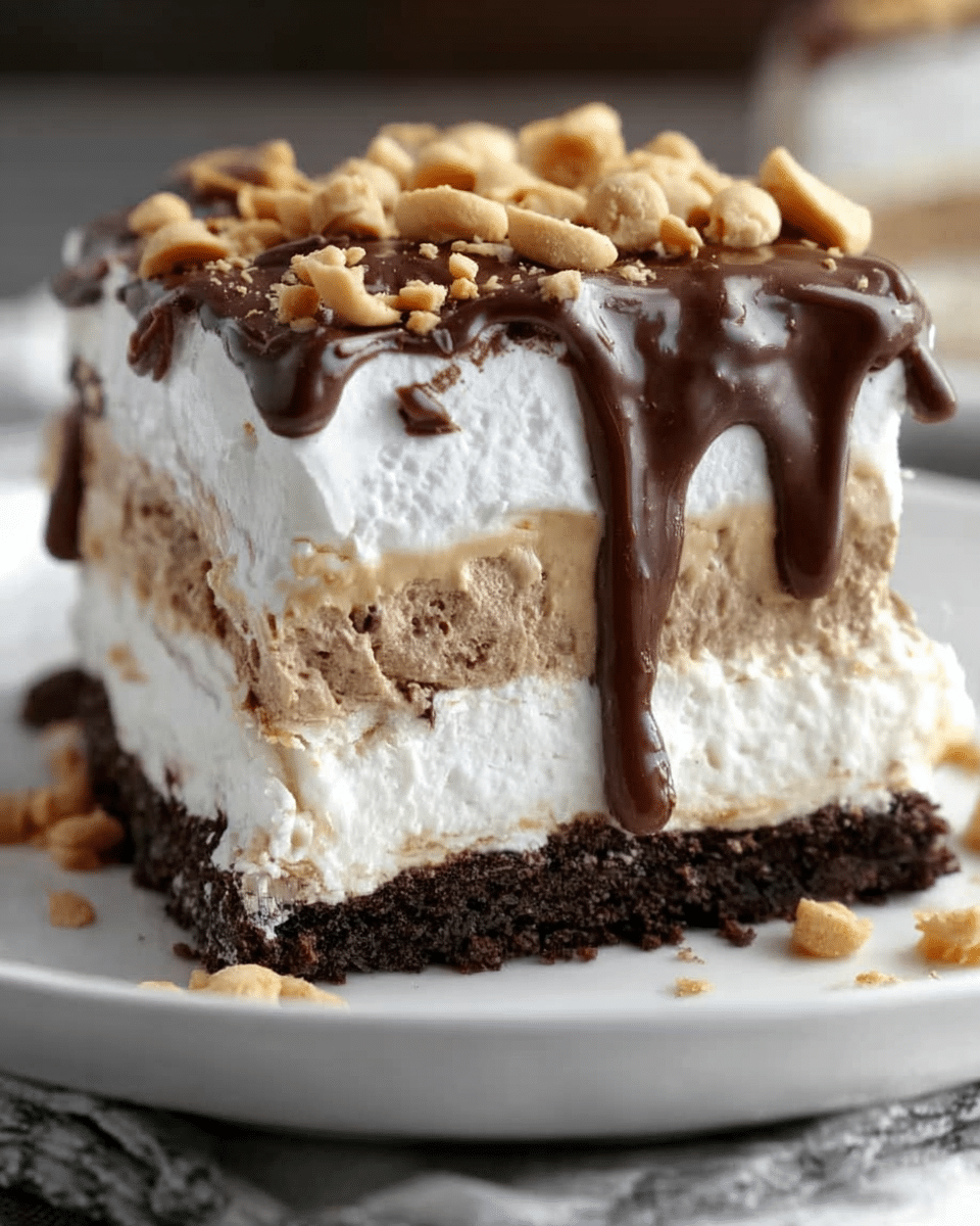 No-Bake Peanut Butter Chocolate Lasagna